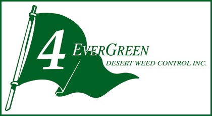 4-ever-green-desert-weed-control-phoenix-arizona